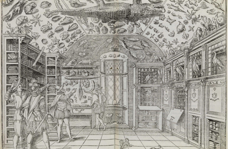Theatrum Naturae